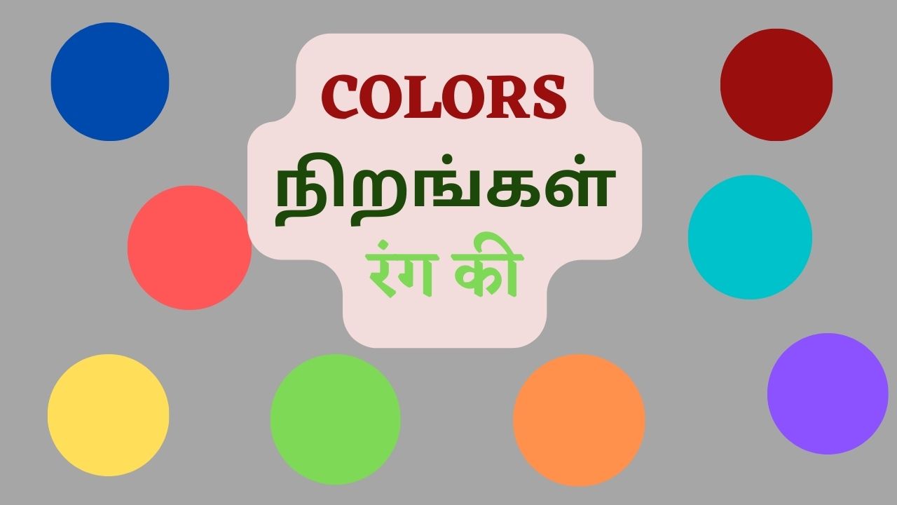 Learn Colors name in Hindi through Tamil  COLORS