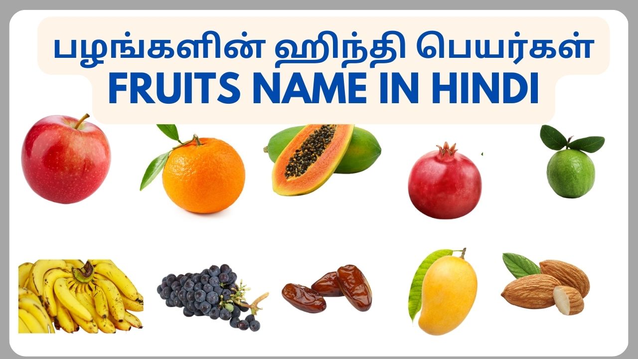 Fruits Names in Hindi | Learn fruits Names Hindi through Tamil fruits