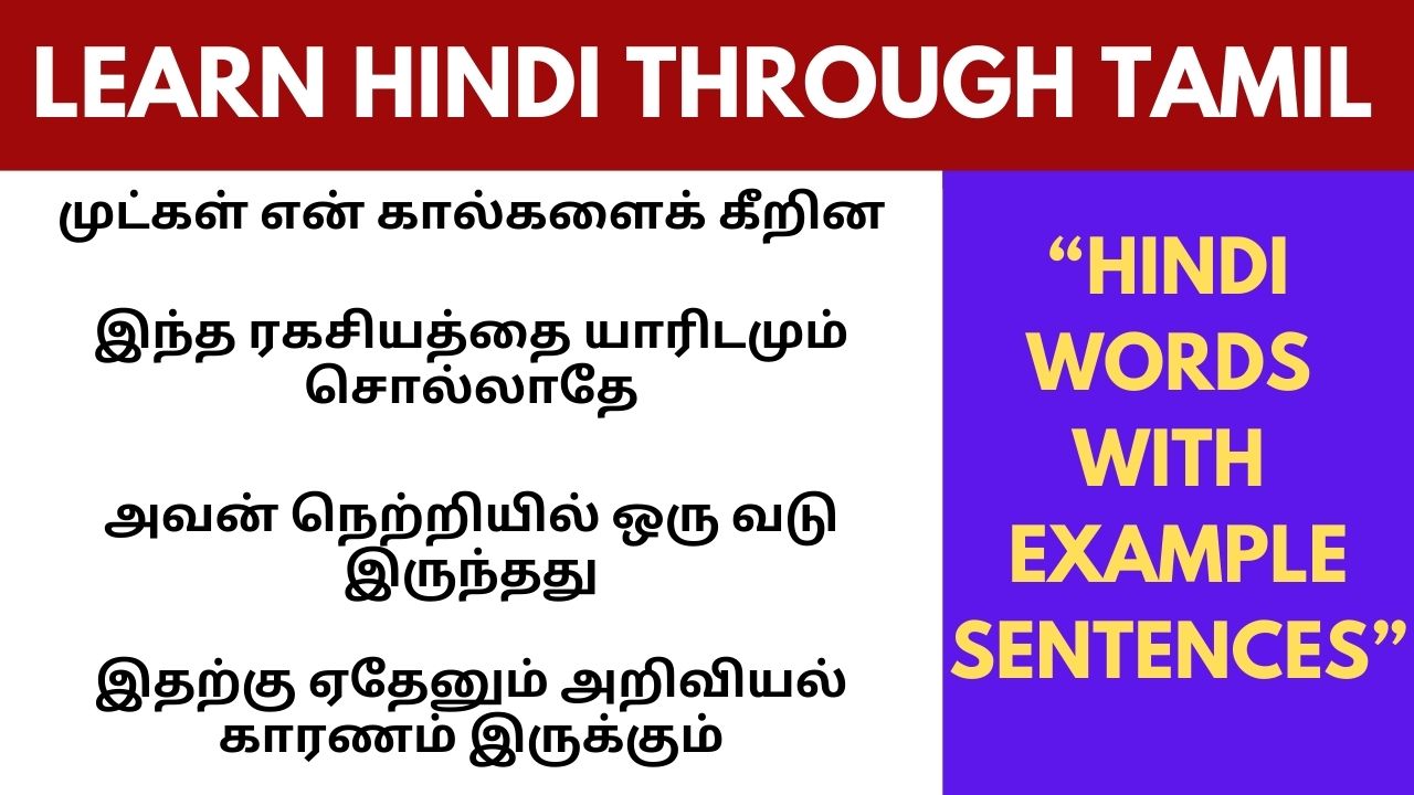 hindiwordswithsentences